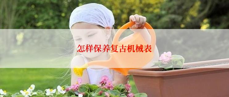 怎样保养复古机械表