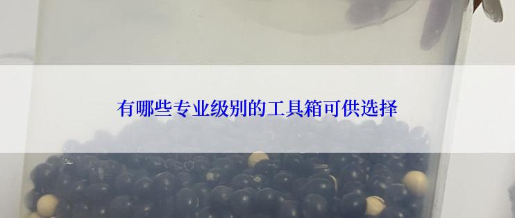 有哪些专业级别的工具箱可供选择
