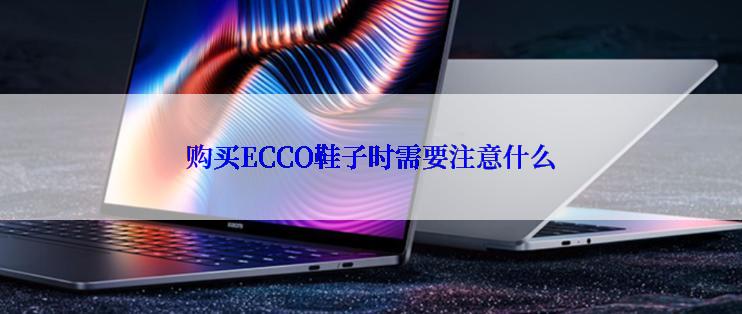 购买ECCO鞋子时需要注意什么