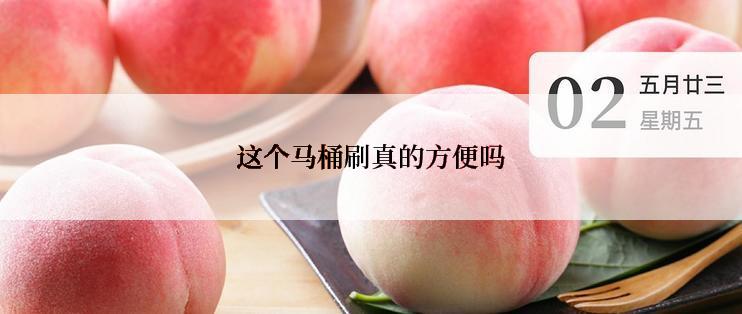 这个马桶刷真的方便吗