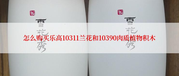 怎么购买乐高10311兰花和10390肉质植物积木