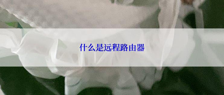 什么是远程路由器