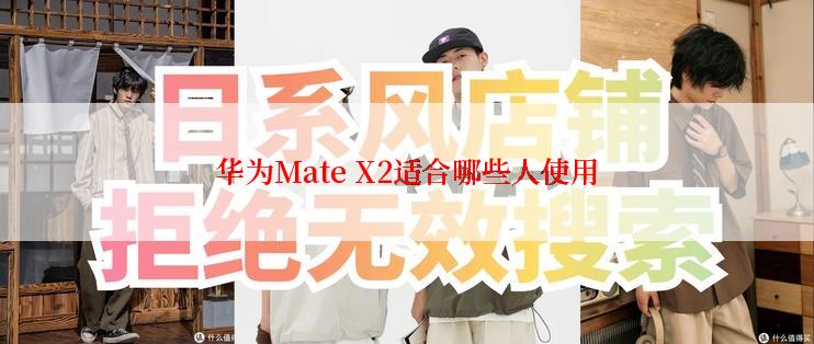 华为Mate X2适合哪些人使用