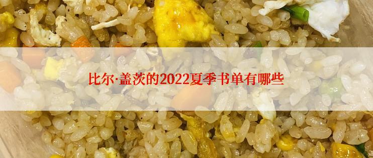 比尔·盖茨的2022夏季书单有哪些