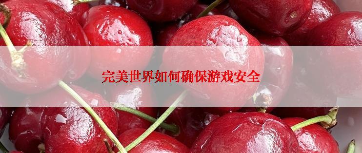 完美世界如何确保游戏安全