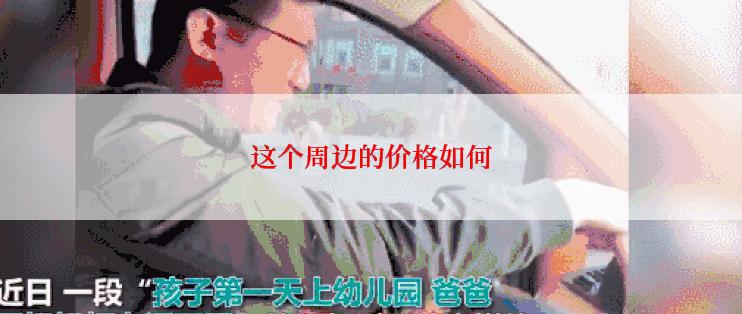 这个周边的价格如何