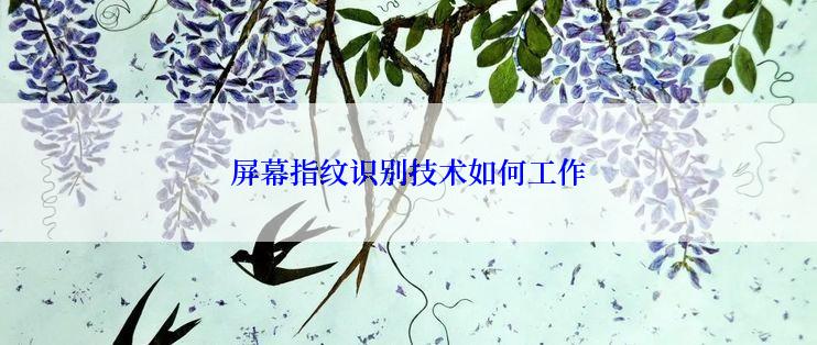 屏幕指纹识别技术如何工作