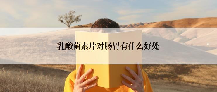 乳酸菌素片对肠胃有什么好处