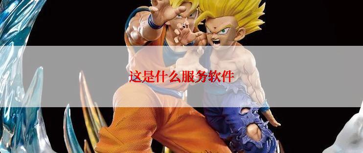 这是什么服务软件