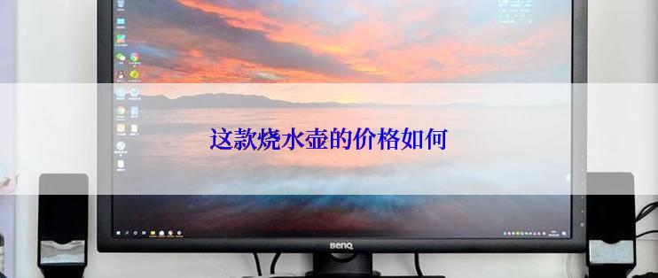 这款烧水壶的价格如何