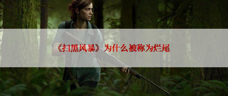 《扫黑风暴》为什么被称为烂尾