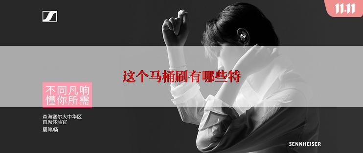 这个马桶刷有哪些特