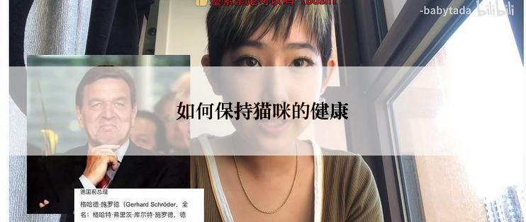 如何保持猫咪的健康