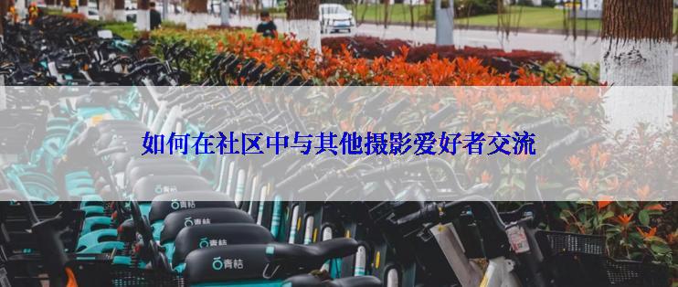 如何在社区中与其他摄影爱好者交流