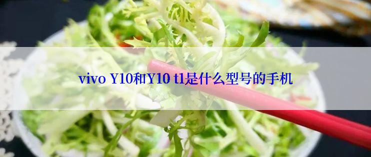 vivo Y10和Y10 t1是什么型号的手机