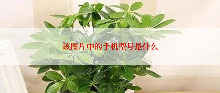 该图片中的手机型号是什么