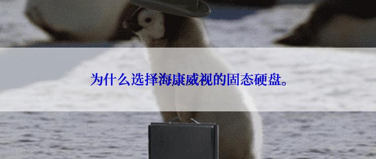 为什么选择海康威视的固态硬盘。