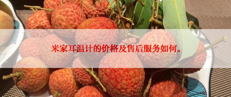 米家耳温计的价格及售后服务如何。