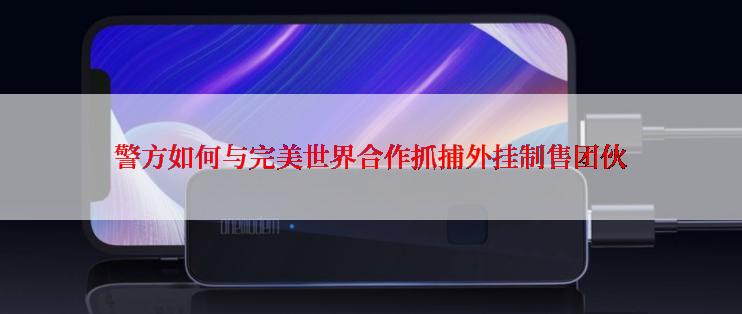 警方如何与完美世界合作抓捕外挂制售团伙