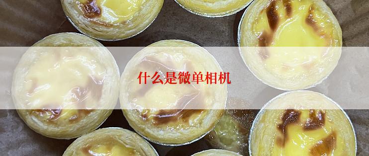 什么是微单相机