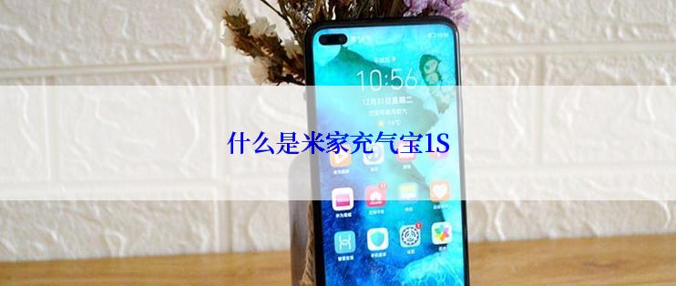 什么是米家充气宝1S