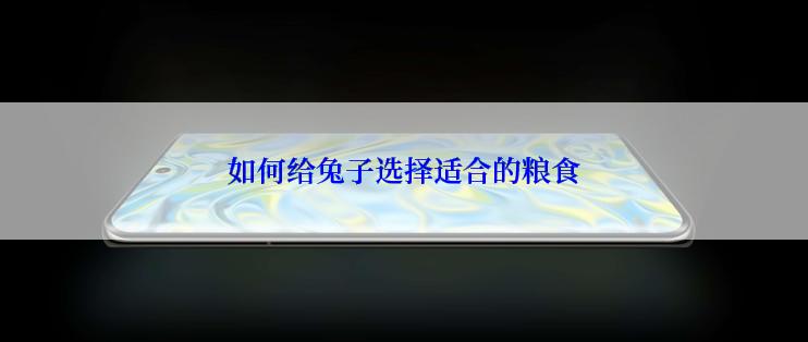 如何给兔子选择适合的粮食