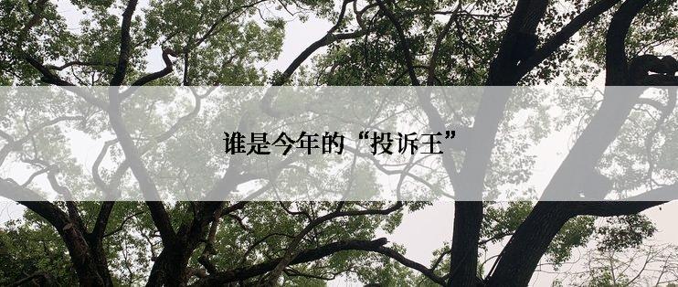 谁是今年的“投诉王”