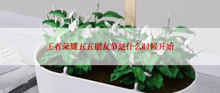 王者荣耀五五朋友节是什么时候开始