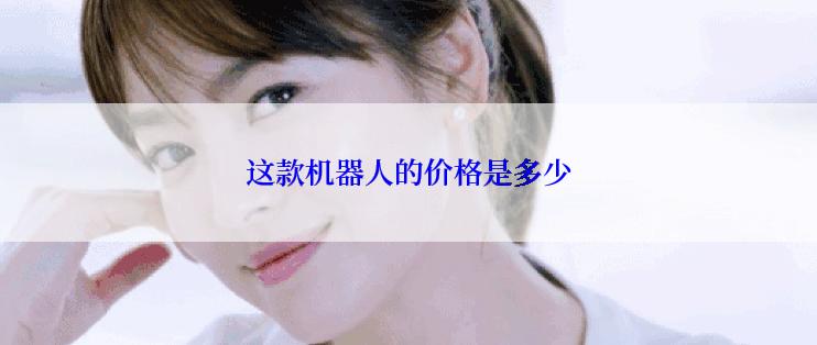 这款机器人的价格是多少