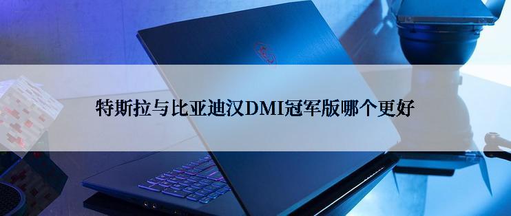 特斯拉与比亚迪汉DMI冠军版哪个更好
