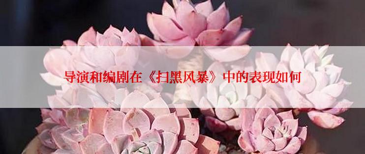 导演和编剧在《扫黑风暴》中的表现如何