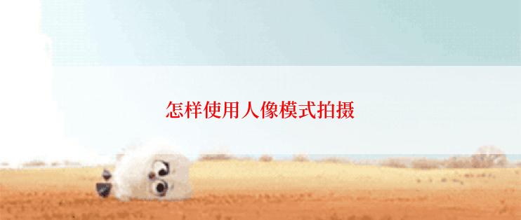 怎样使用人像模式拍摄
