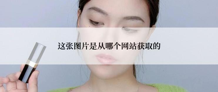这张图片是从哪个网站获取的