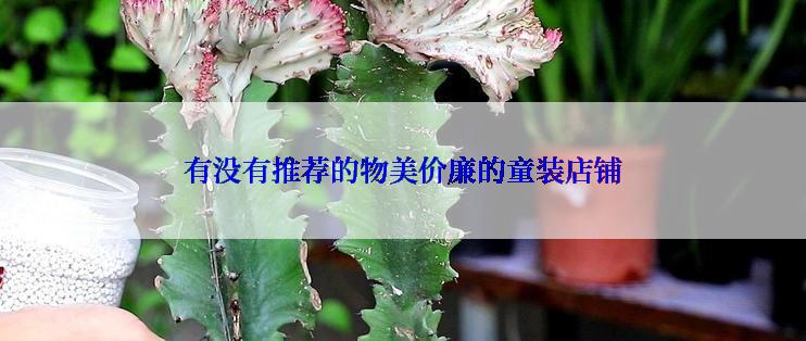 有没有推荐的物美价廉的童装店铺