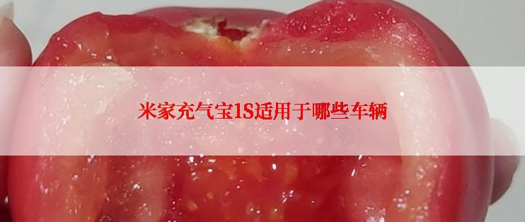 米家充气宝1S适用于哪些车辆