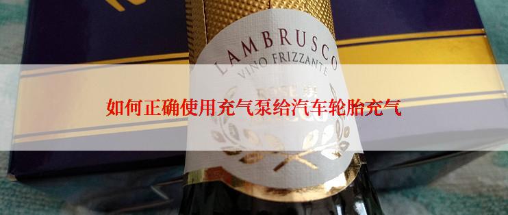 如何正确使用充气泵给汽车轮胎充气