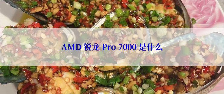AMD 锐龙 Pro 7000 是什么