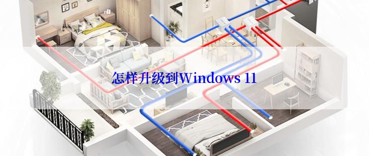 怎样升级到Windows 11