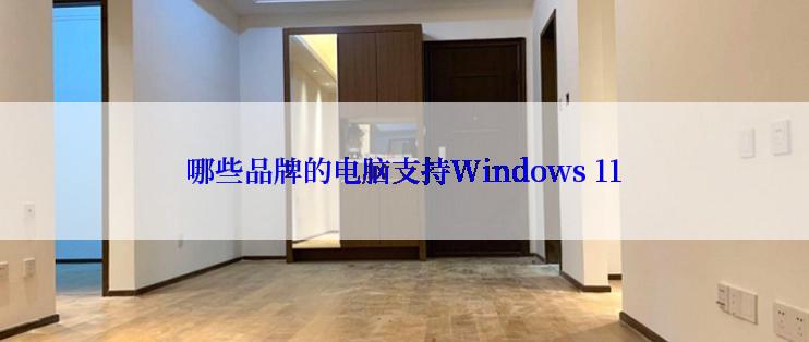 哪些品牌的电脑支持Windows 11