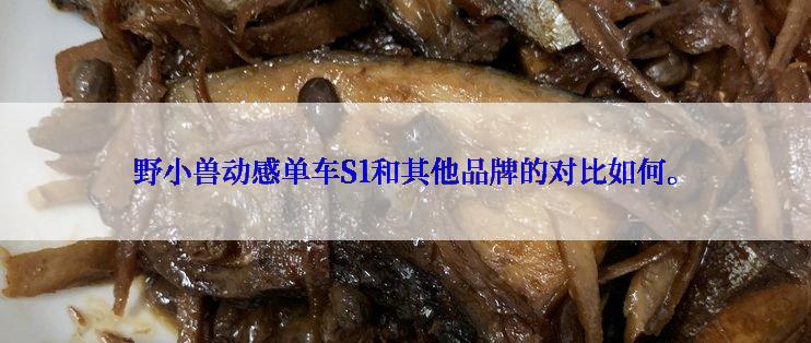 野小兽动感单车S1和其他品牌的对比如何。