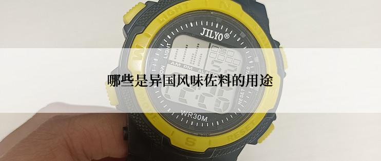 哪些是异国风味佐料的用途