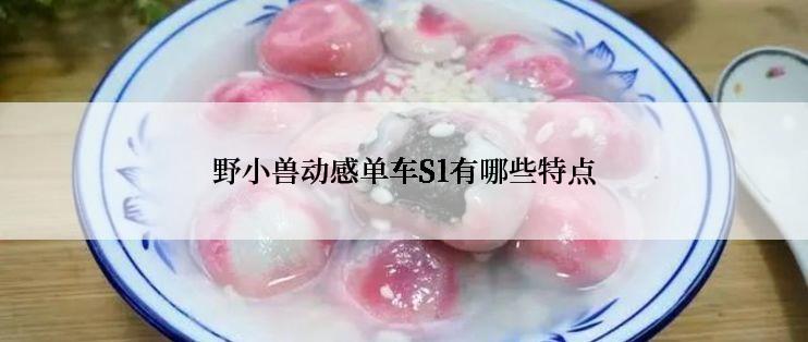 野小兽动感单车S1有哪些特点