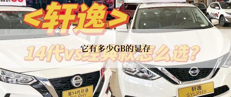 它有多少GB的显存