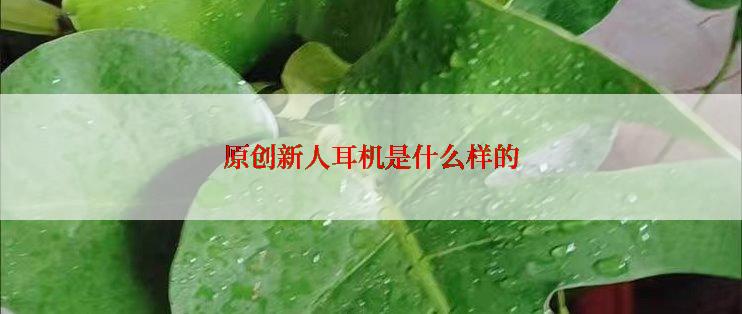 原创新人耳机是什么样的