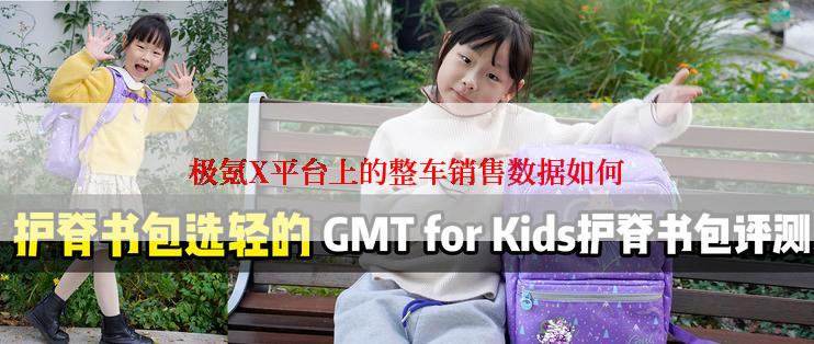 极氪X平台上的整车销售数据如何