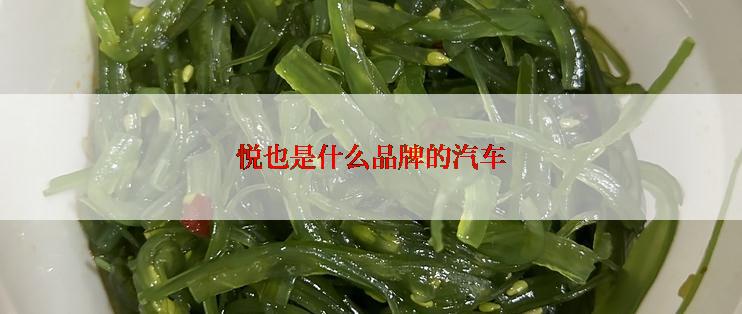 悦也是什么品牌的汽车