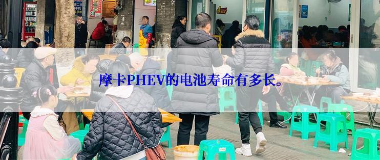 摩卡PHEV的电池寿命有多长。