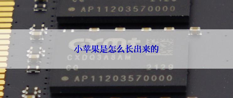 小苹果是怎么长出来的