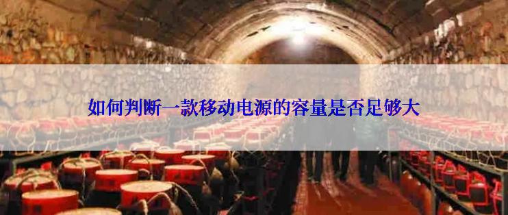 如何判断一款移动电源的容量是否足够大