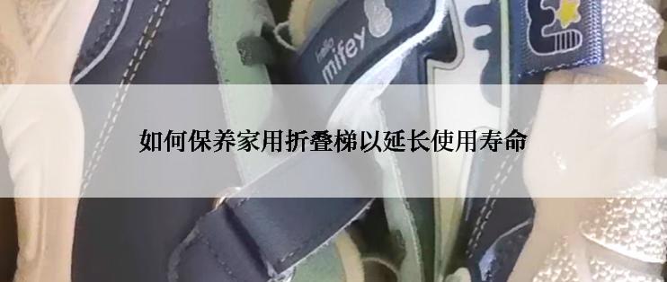 如何保养家用折叠梯以延长使用寿命